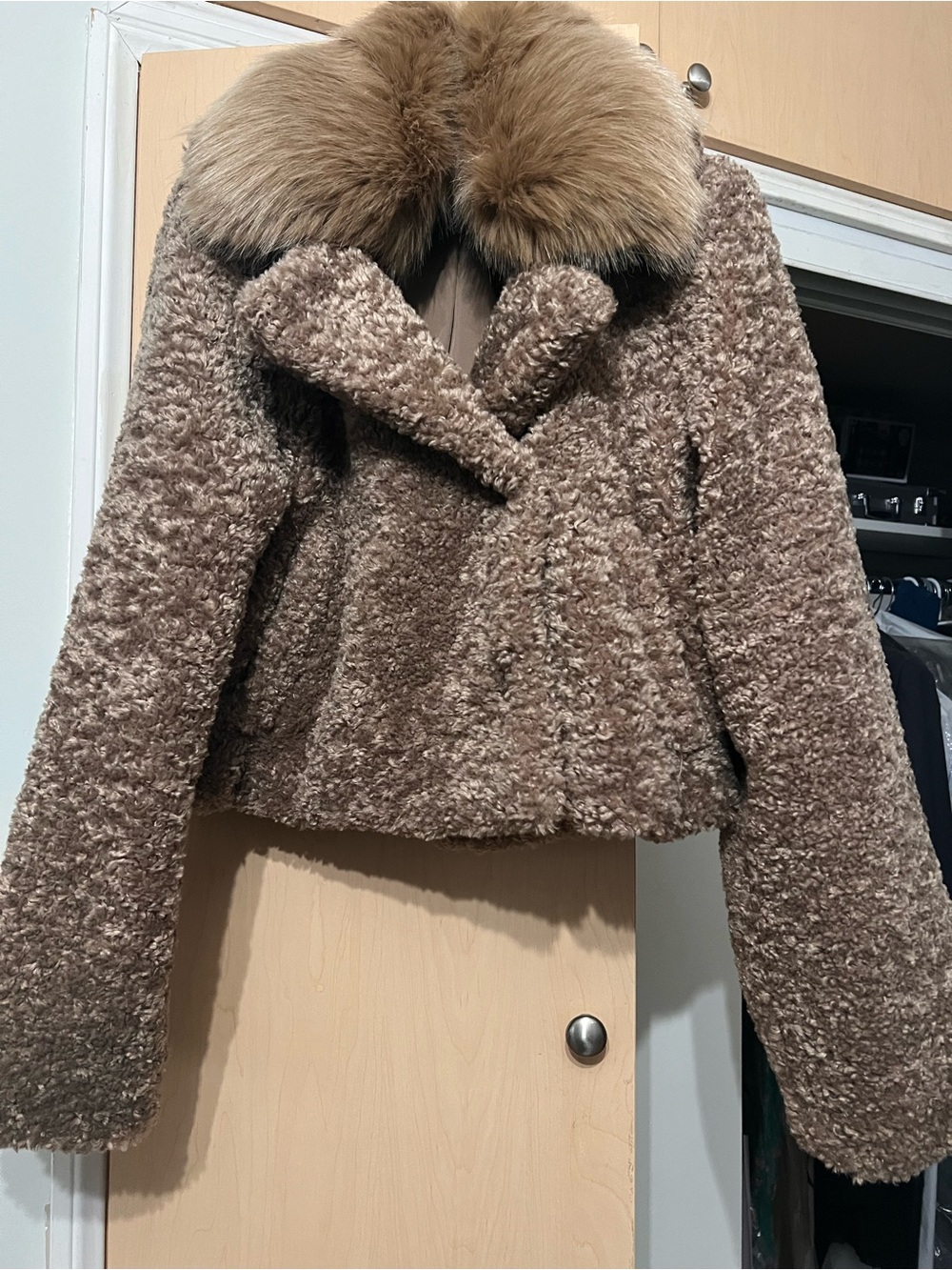 BCBGMaxAzria Taupe Faux Shearling Teddy Jacket with Fur Collar